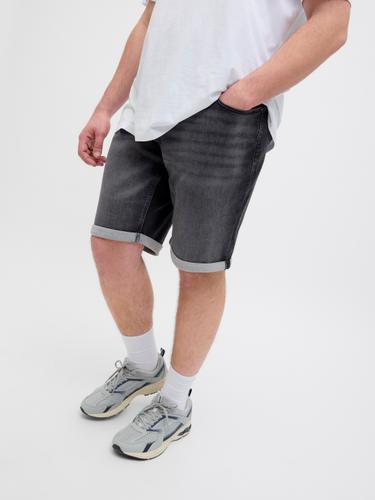 JJIRICK JJICON I.K. SHORTS GE 062 SN PLS