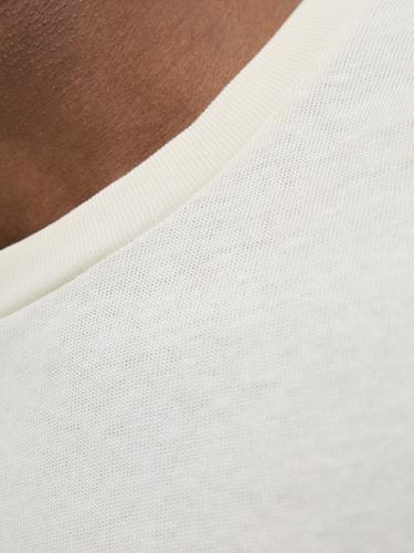 JORALMERIA BOLD BRANDING TEE SS CN LN