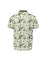 Polo Short Sleeve Printed L Regular Fit - Green