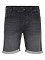JJIRICK JJICON I.K. SHORTS GE 062 SN PLS