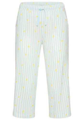 Vivance Dreams VD Culotte