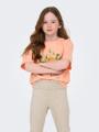 KOGHELEN LIFE S/S LOOSE TEE JRS NOOS