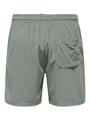 ONSTELLAS REG SHORTS