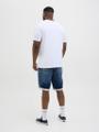 JJIRICK JJICON I.K. SHORTS GE 132 SN PLS