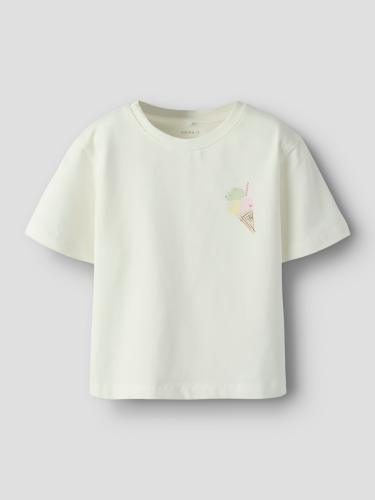NMFFAIRI SS NREG TOP