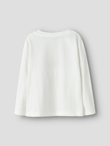 NMFVOTEA LS NREG TOP