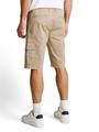 TTSLIM Cargo Shorts