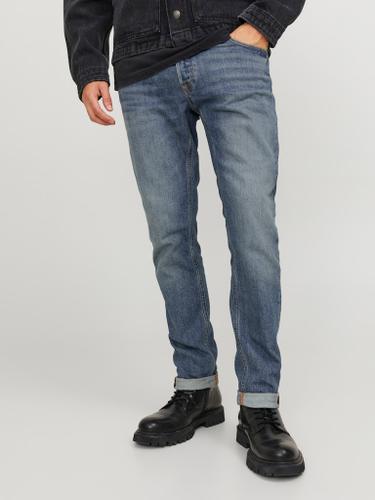 JJIGLENN JJCOLE AM 271 NOOS
