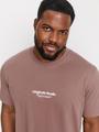 JORVESTERBRO TEE SS CREW NECK NOOS PLS EU2XL US1L Locker geschnitten - Deep Taupe