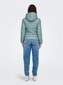 ONLTAHOE HOOD JACKET OTW NOOS
