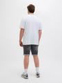 JJIRICK JJICON I.K. SHORTS GE 062 SN PLS