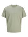 JORNORREBRO EMB TEE SS CREW NECK PLS EU5XL US3XL Normal geschnitten - Seagrass