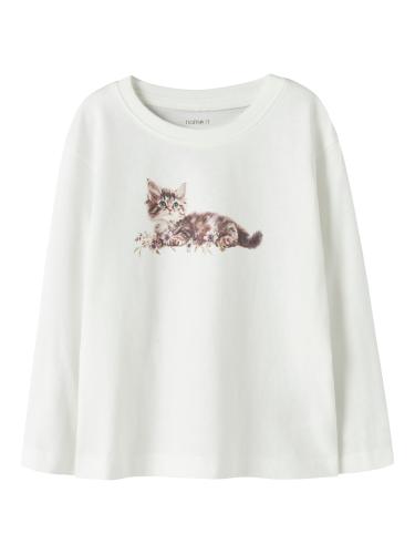NMFVOTEA LS NREG TOP
