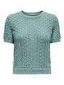 ONLSAGA LIFE SS O-NECK CC KNT