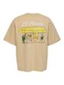 ONSLOUIS OVS SS TEE Braun L