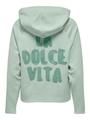 ONLNINA L/S HOOD CS SWT