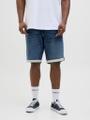 JJIRICK JJICON I.K. SHORTS GE 132 SN PLS