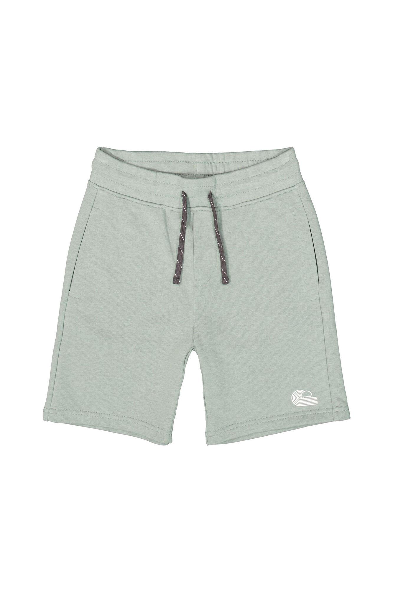 E53720 152 - Light Sage
