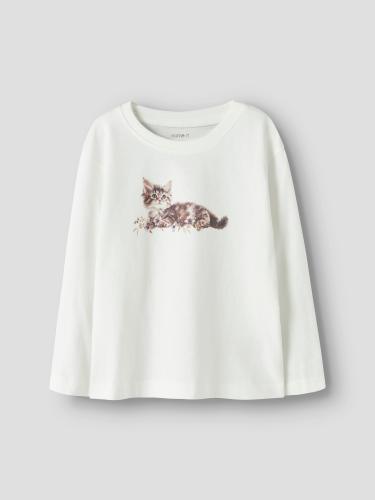 NMFVOTEA LS NREG TOP