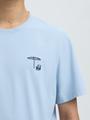 SLHASPEN EMB SS O-NECK TEE