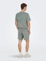 ONSTELLAS REG SHORTS