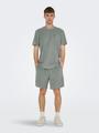 ONSTELLAS REG SHORTS