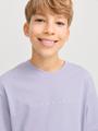 JJESTAR JJ TEE SS NOOS JNR 164 Locker geschnitten - Languid Lavender