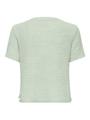 ONLSUNNY S/S PULLOVER KNT NOOS