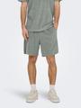 ONSTELLAS REG SHORTS