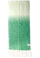 Schal mit Farbverlauf A - Vibrant Green