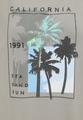 Shirt 52 - Seagrass