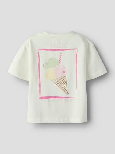 NMFFAIRI SS NREG TOP