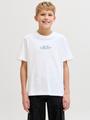 JORCASSIS PHOTO BACK TEE SS CN JNR