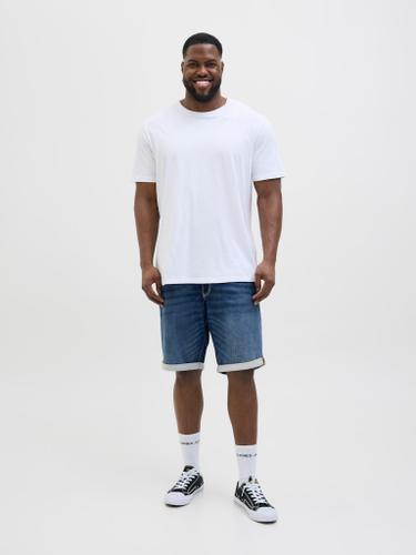JJIRICK JJICON I.K. SHORTS GE 132 SN PLS
