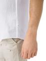 Style Dan XL - White