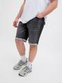 JJIRICK JJICON I.K. SHORTS GE 062 SN PLS